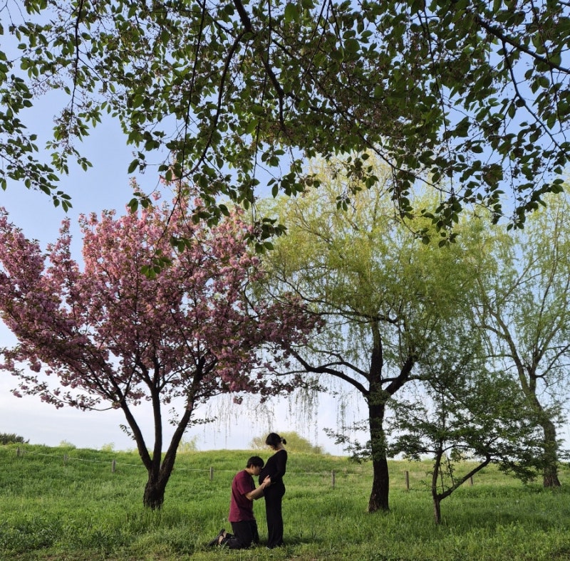 서울 노을캠핑장 당일치기 D구역 후기, 맹꽁이 전동차 금액, 임산부 서울 나들이 추천장소