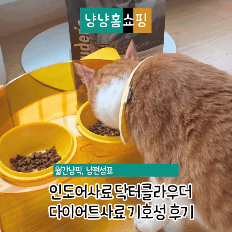  인도어사료 닥터클라우더 고양이다이어트사료 기호성 후기