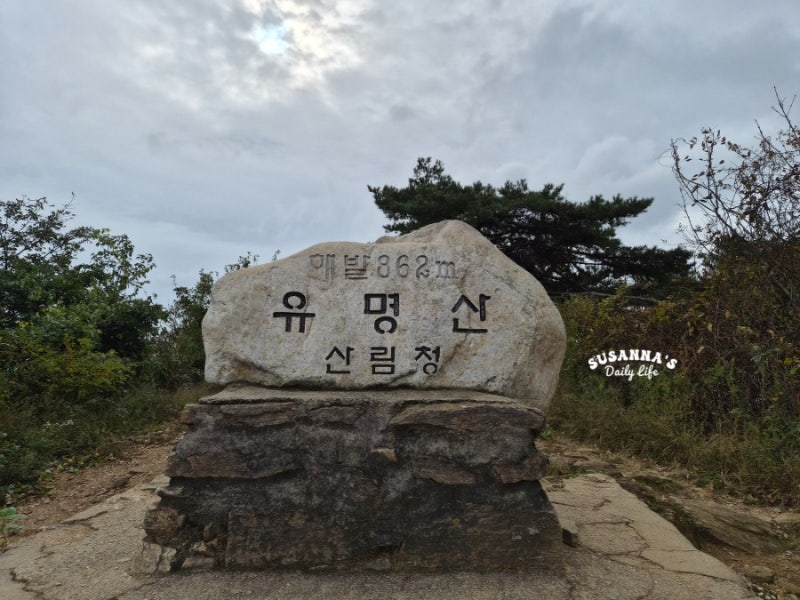 유명산 최단 코스 / 유명산 자연휴양림 코스