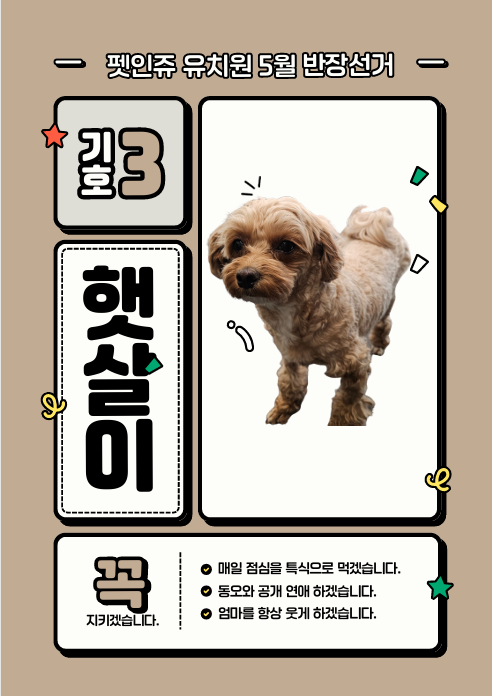 사진 6