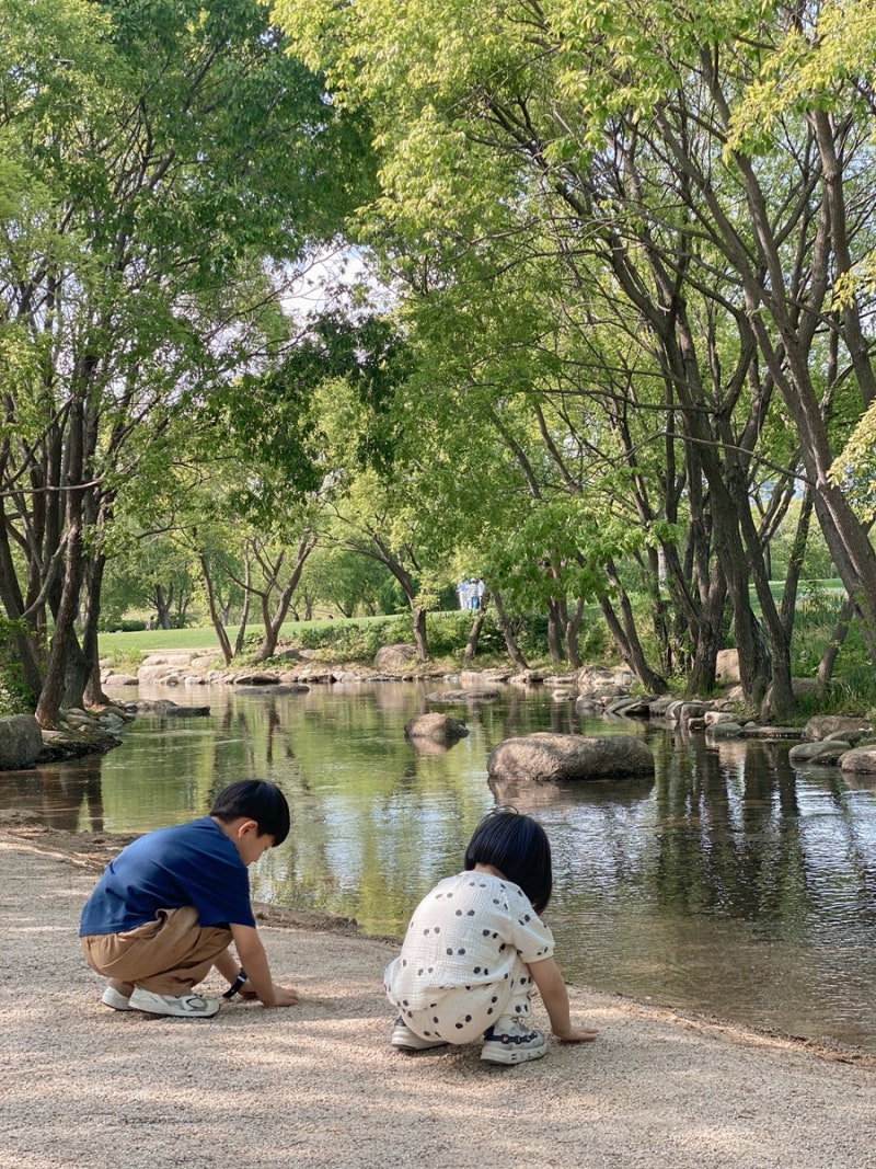 사진 9