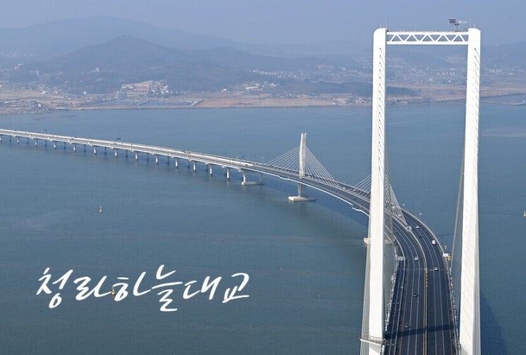  기네스북 등재! 184m 상공에서 즐기는 역대급 뷰, 청라하늘대교