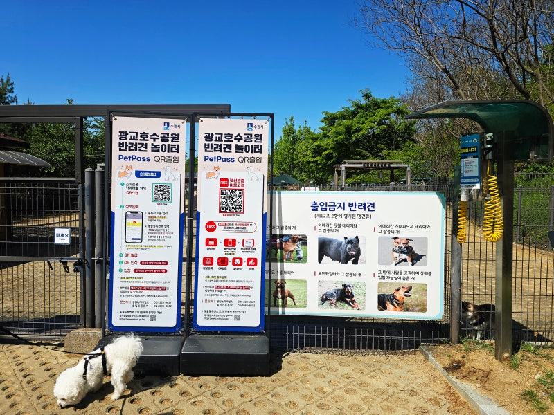 사진 2