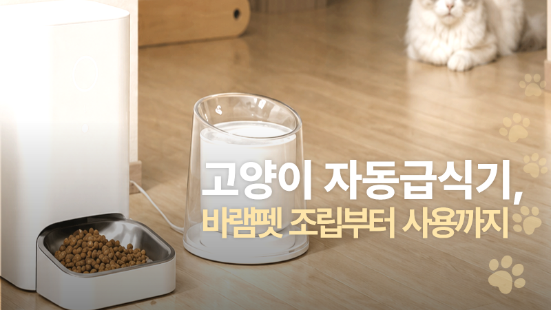 바램펫 고양이 자동급식기 조립부터 사용까지(밀리), 츄 집사의 내돈내산 후기