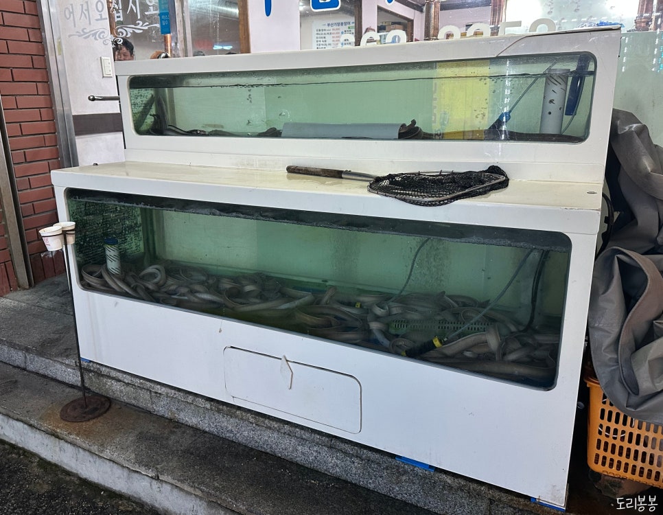 부산기장꼼장어 사진 4