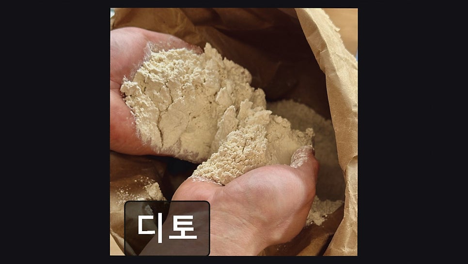디토 사진 2