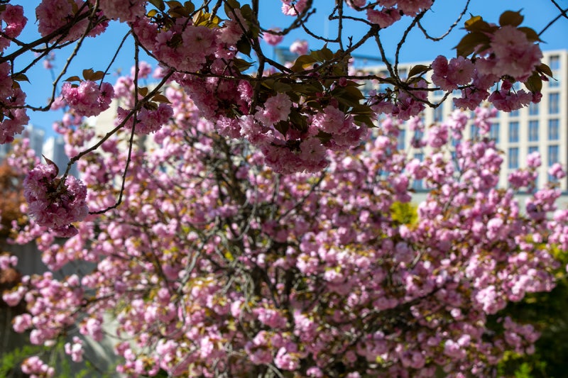 사진 8
