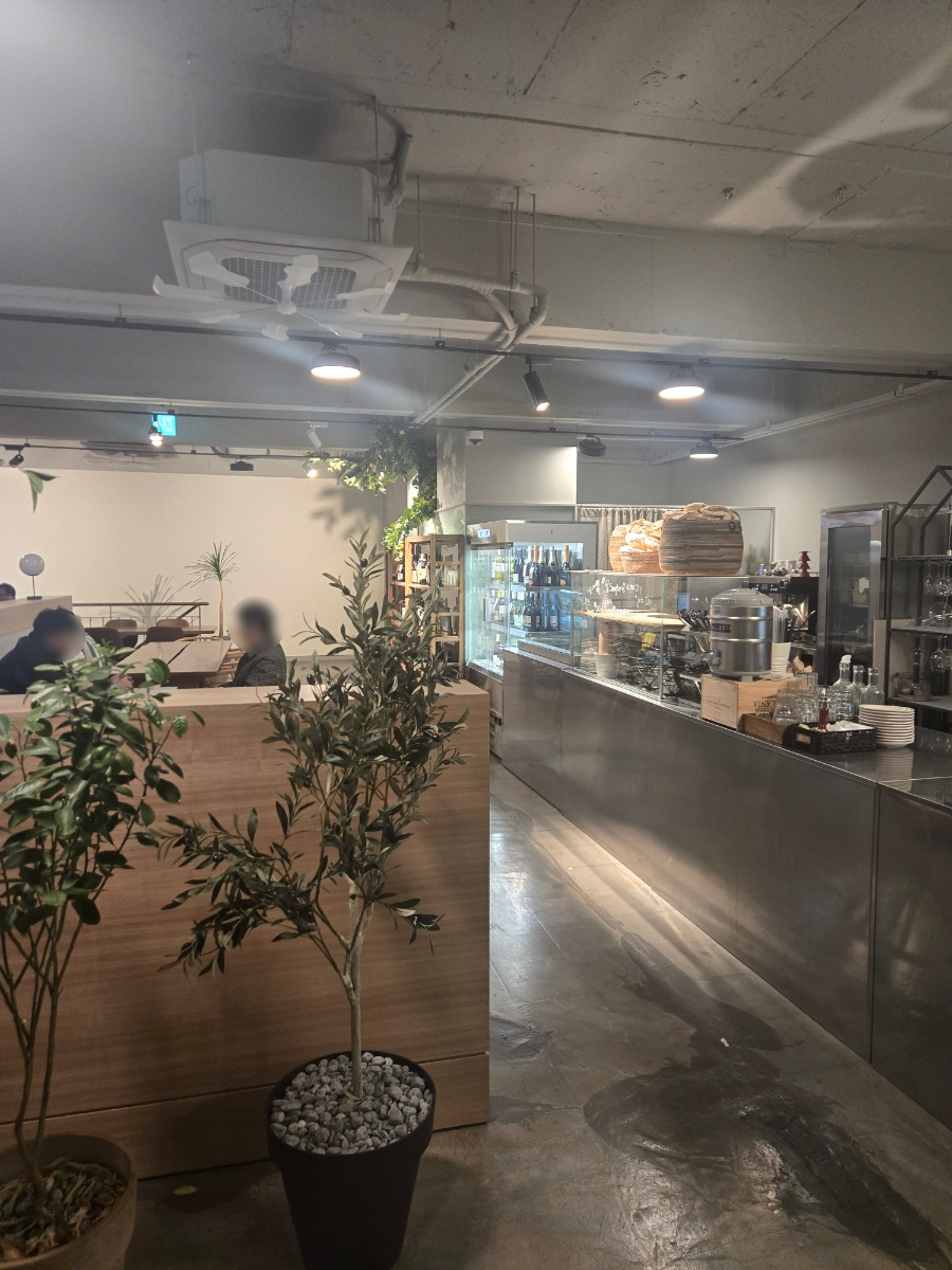 티그로타 사진 2