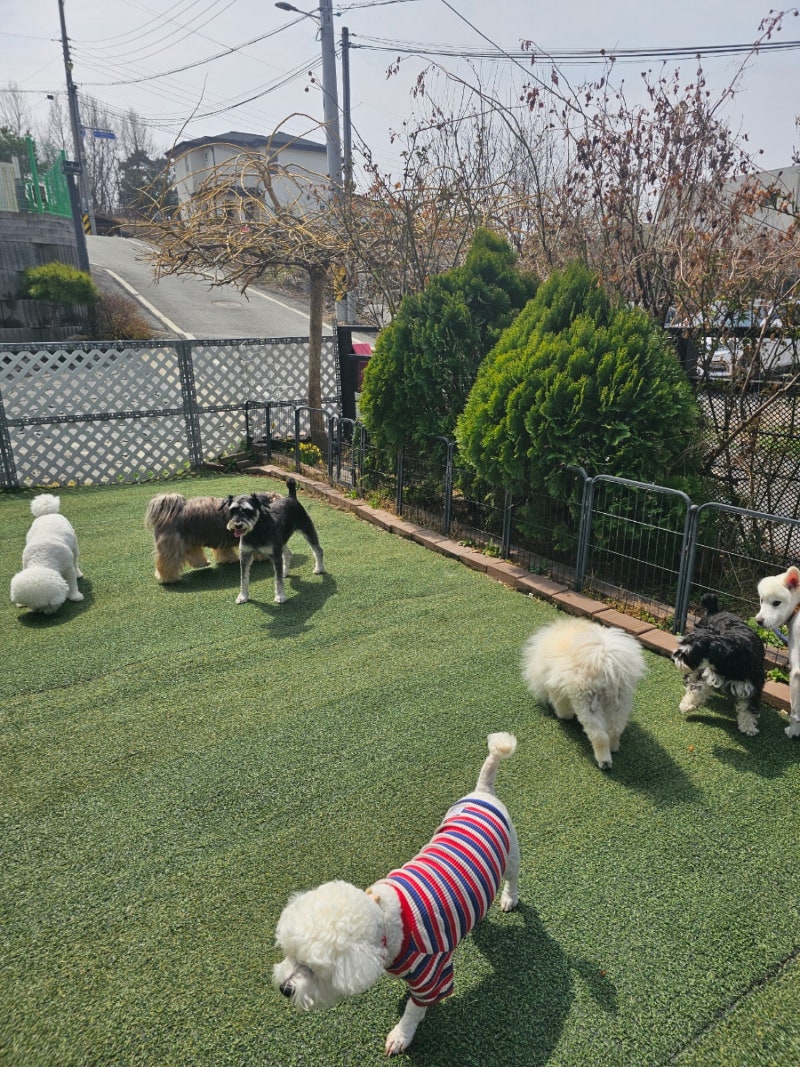 사진 2