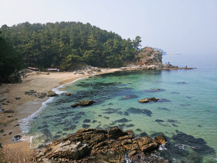  동해 바다 바로 앞 작은 사찰 감추사 인생샷 명소 인정