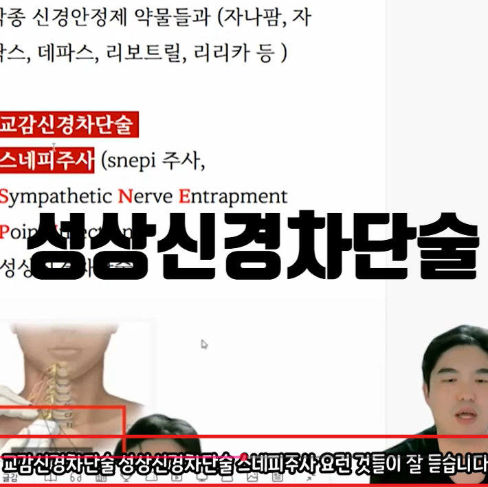 성상신경차단술 자율신경주사 효과 있을까? 교감신경차단술·스네피주사 총정리