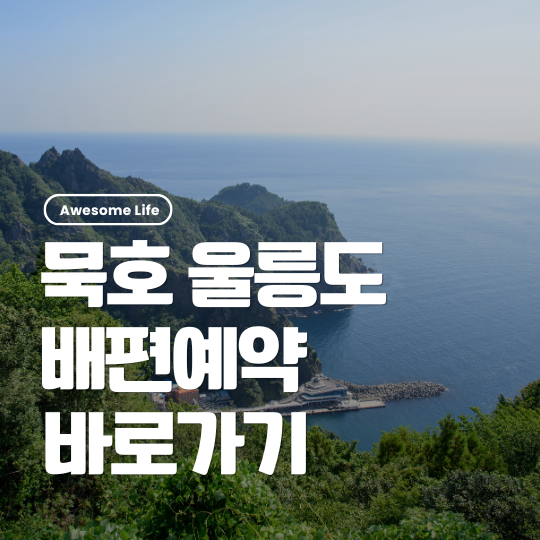 묵호 울릉도 배편 예약 방법 | 가격 소요시간 예약 방법부터 시간표까지