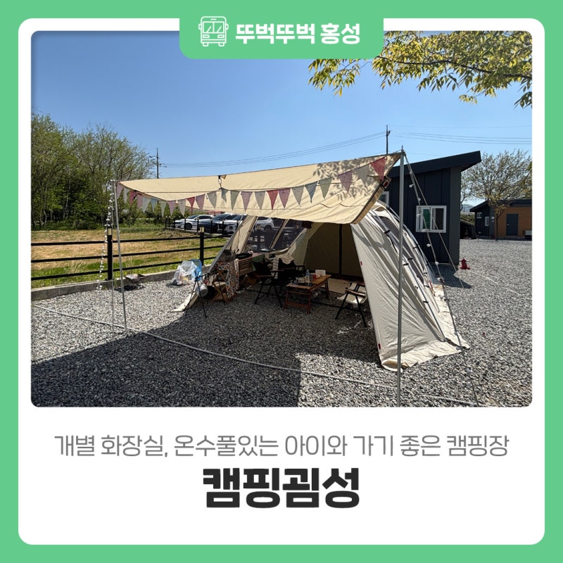 사진 5