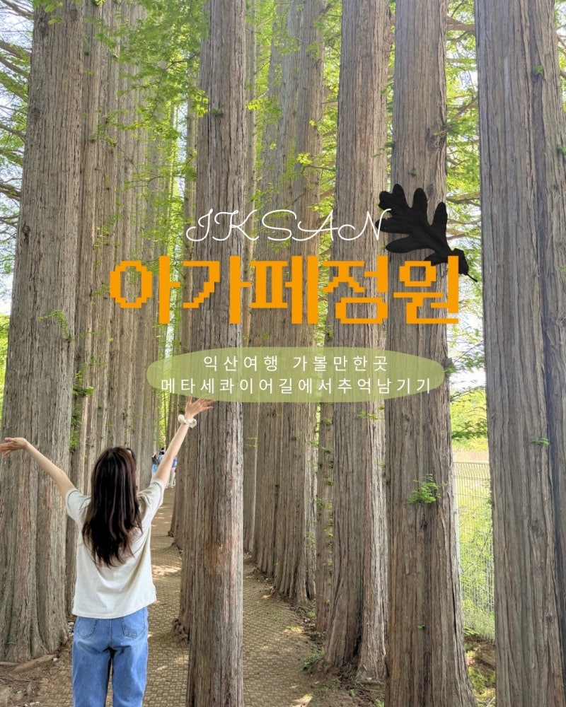 사진 9