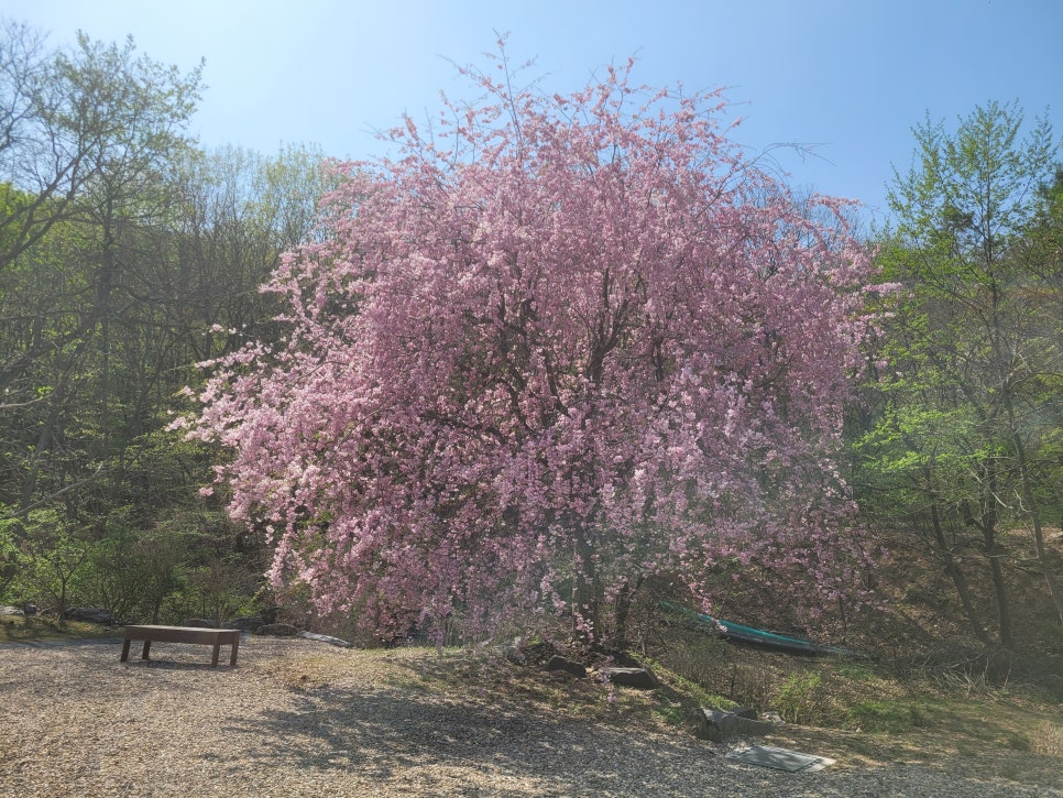 묵방산 사진 5