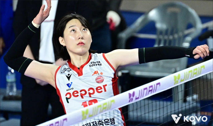 23.5억 에이스에서 1.8억 조커로... 박정아의 씁쓸한 귀환과 도로공사의 실리