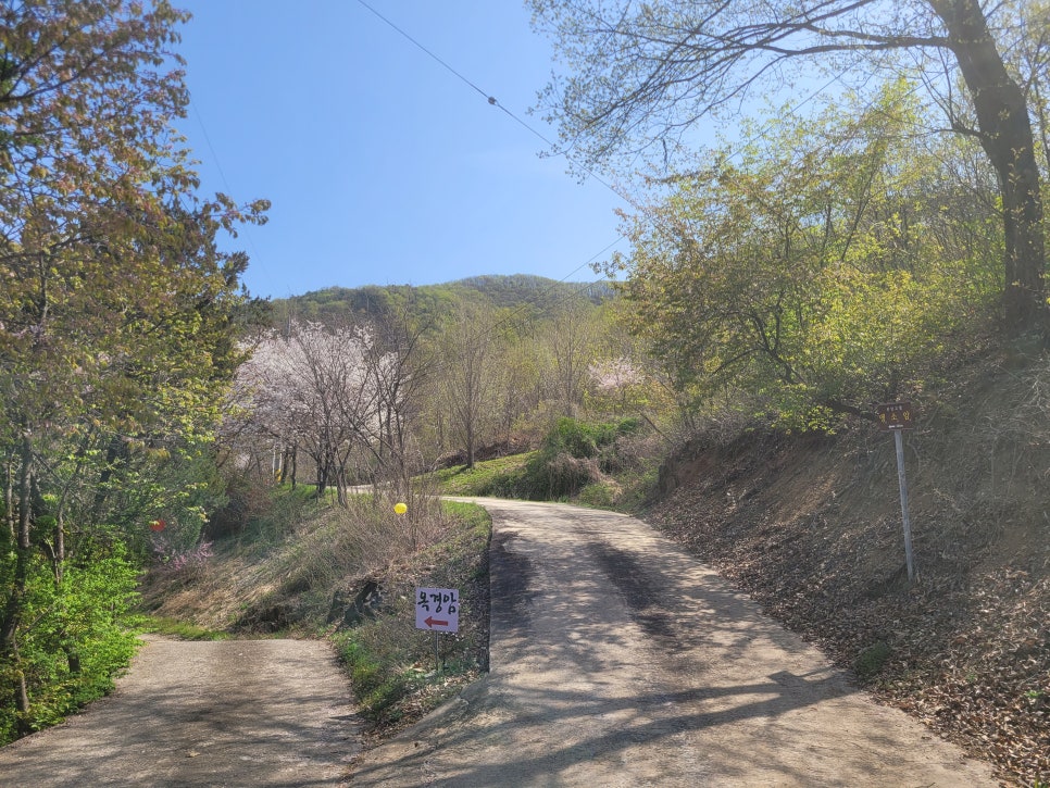 앵봉산 사진 5