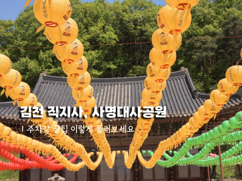 사진 7