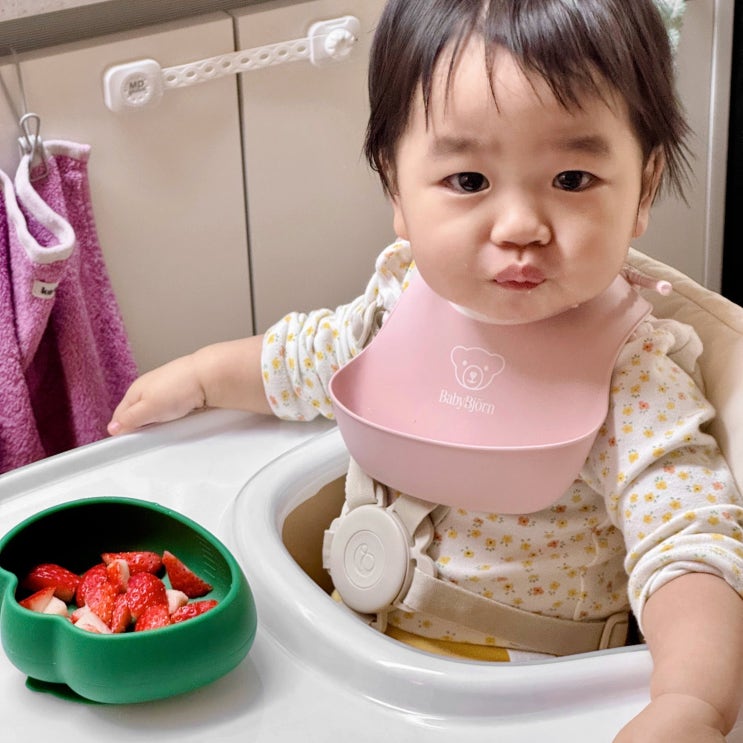  이유식 필수템 실리콘 이유식 용기 추천 아기 밥그릇 잼먹 흡착볼