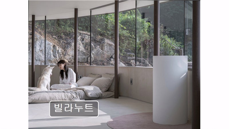 사진 3