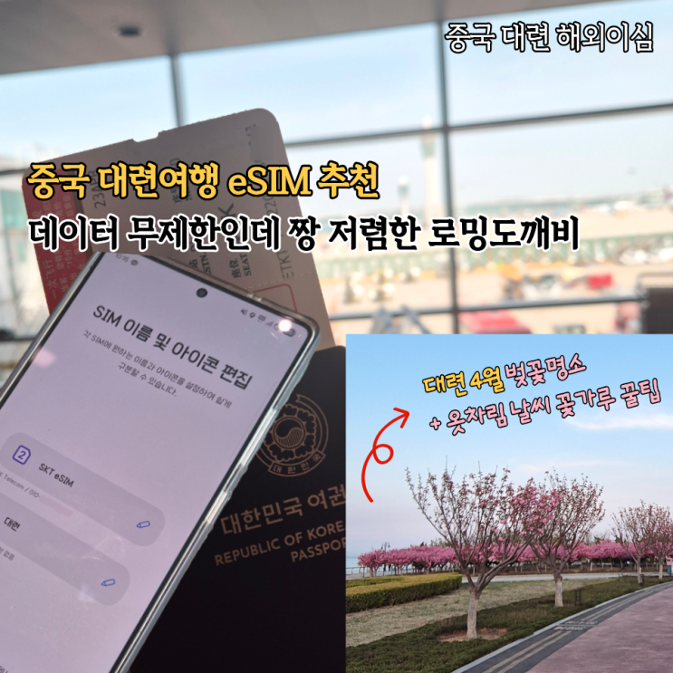  중국 대련 이심 추천 데이터 무제한 로밍도깨비 후기 4월 대련 3박4일 날씨 옷차림 벚꽃 후기