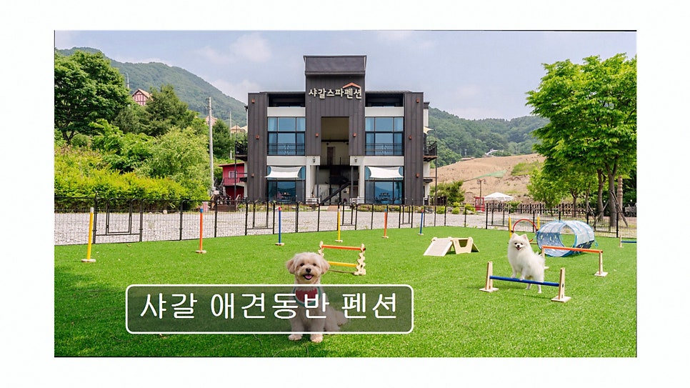 샤갈스파펜션 사진 5