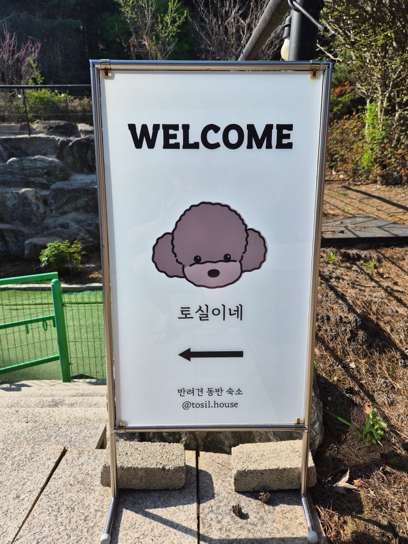 사진 6