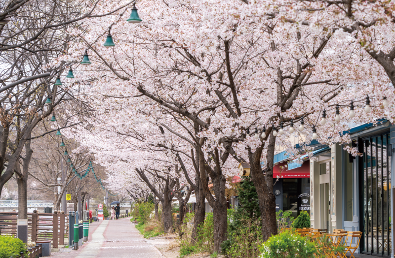 사진 2