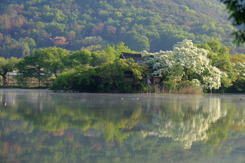 사진 4