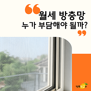 월세 방충망 교체 누가 부담해야 될까?ㅣ비용 · 업체 찾는 법