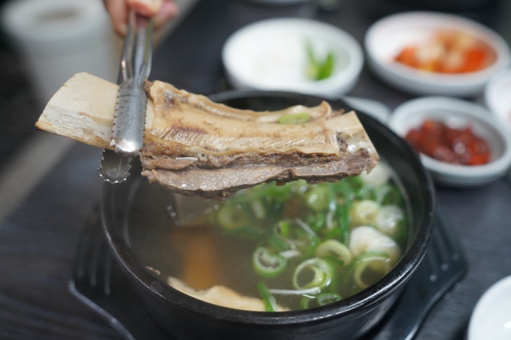  제주 저지리맛집 가성비 갈비탕 한 그릇 홍수영 저지오름 등산 후 든든하게 채워주는 찐도민 국밥집