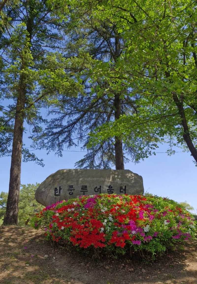 사진 6