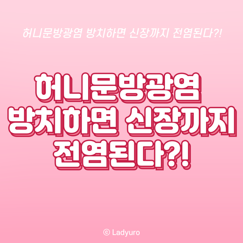 허니문방광염 방치하면 신장까지 전염된다?! (원인 및 증상, 치료방법)