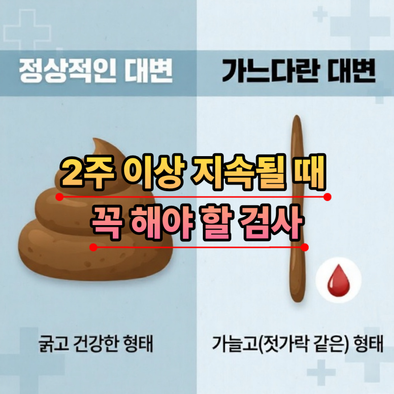 [직장 암 초기 증상] 항문 통증과 혈변, 단순 치질일까? 직장암 검사 방법 총정리