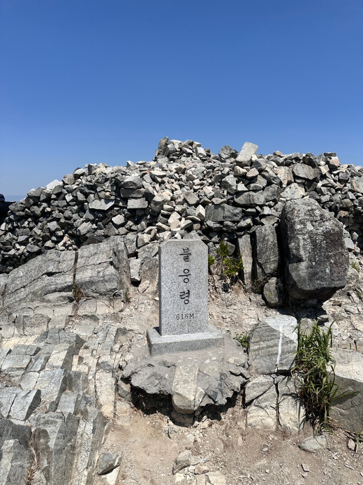  부산 50K 대회 D-14 | 37KM 사전 훈련 후기 + 불태령 지옥 코스 경험담