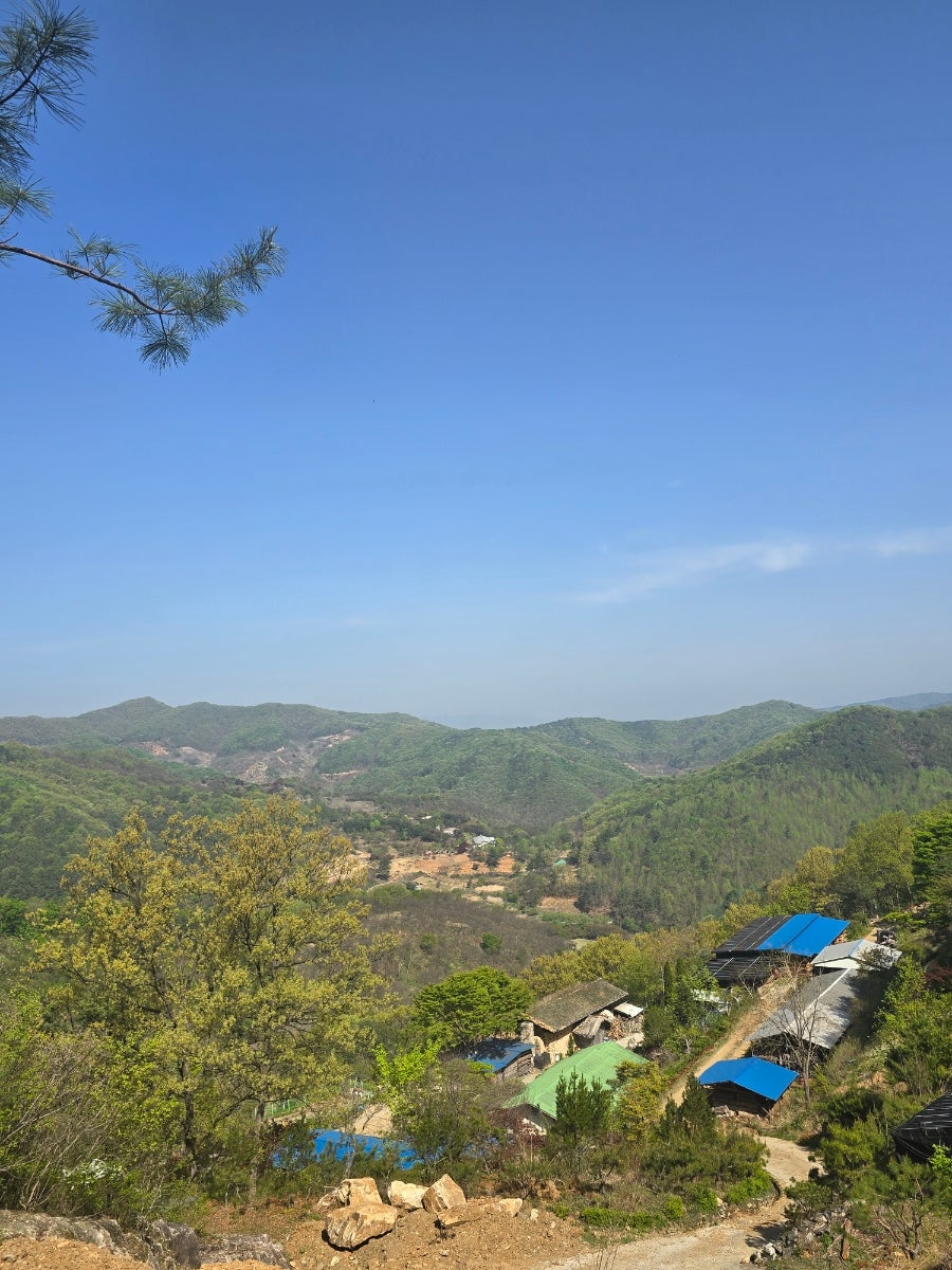 번지농장돌판아구찜 공주점 사진 2