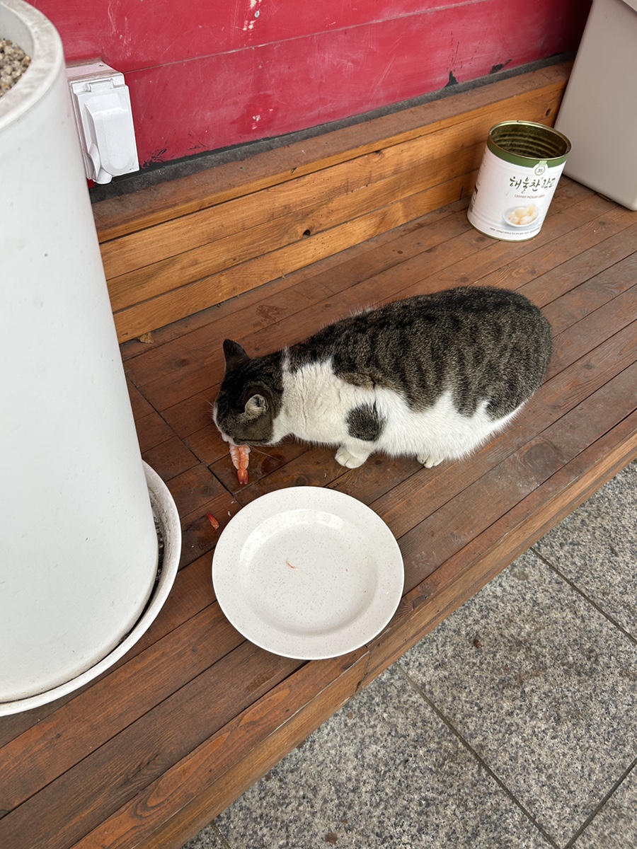 오가네초밥 사진 6