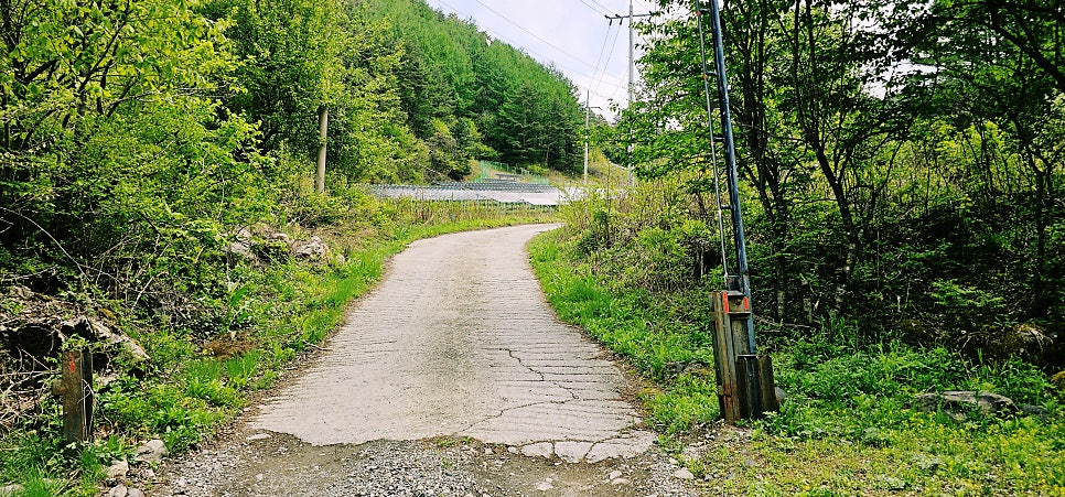 백병산 사진 3