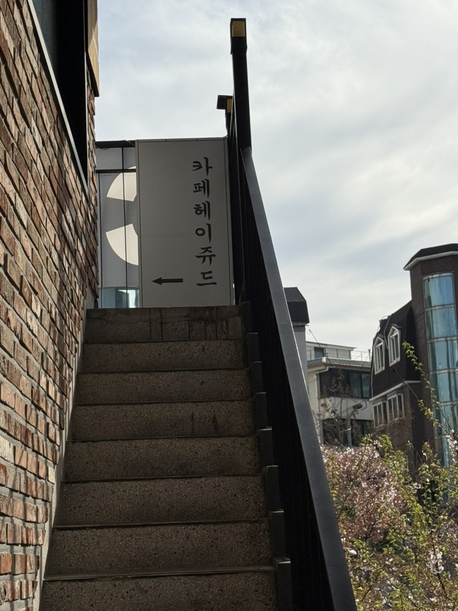 헤이쥬드 사진 6