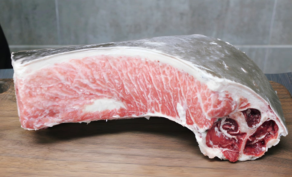 진참치 신음점 사진 4
