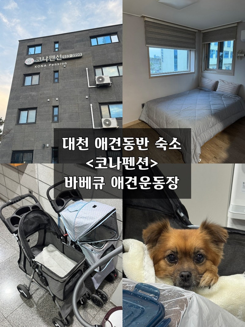 사진 5