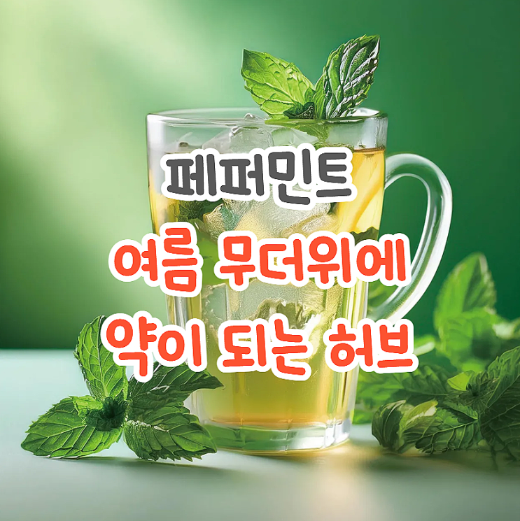  페퍼민트차 오일 효능 이 계절에 더 많이 마시면 좋은 허브티