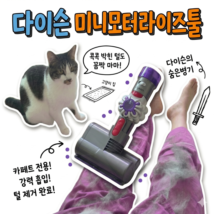  고양이 털 카펫에서 안 빠질 때 이걸로 해결했어요 (다이슨 V8 미니모터헤드)