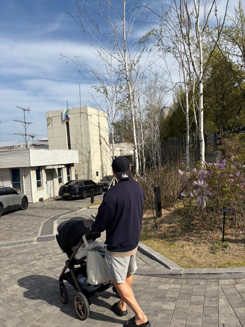 사진 3