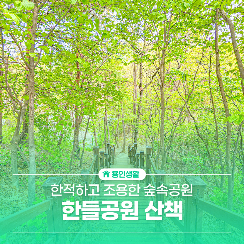 용인 산책하기 좋은 곳 추천! 초록빛으로 물든 산책 명소, 한들공원