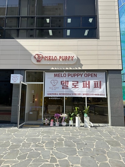 사진 2
