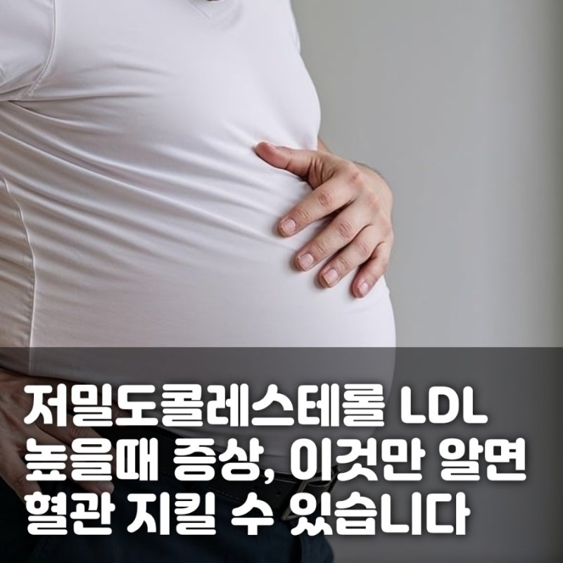 저밀도콜레스테롤 LDL 높을때 증상, 이것만 알면 혈관 지킬 수 있습니다