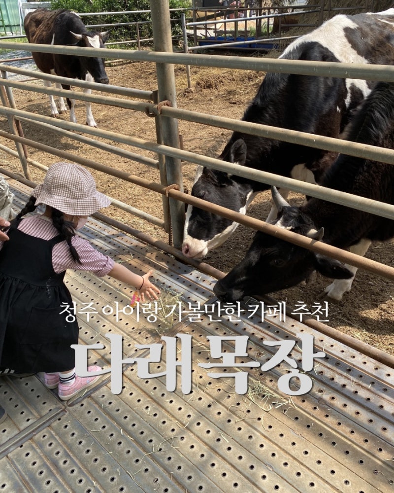 [청주] 수제요거트 맛집 목장체험 다래목장 아이랑 가볼만한 곳 추천!