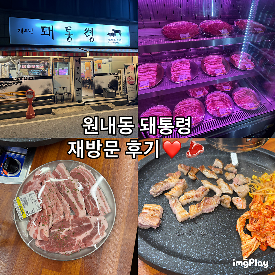 돼통령 사진 1