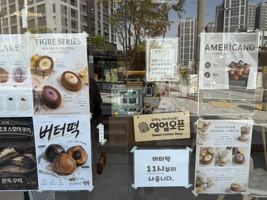 너도밤나무 사진 2